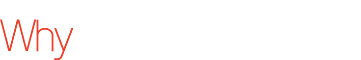 타이틀